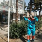 شست و شوی تابلوهای سرمیلانی خیابان‌های مدرس و توحید