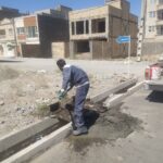 نصب مخازن جدید زباله در خیابان سرو؛ گامی نو در حوزه خدمات شهری منطقه دو