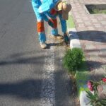 بهبود منظر شهری؛ عملیات نظافت و علف ‌زدایی در بلوارهای پاسداران و طهماسبی