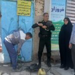 عملیات ضربتی پاکسازی و پلمپ پاتوق‌های غیرمجاز در منطقه دو