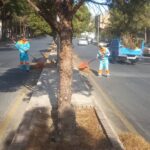 نظافت آیلند طهماسبی به همت نیروهای خدمات شهری منطقه دو