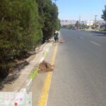 تداوم پاکسازی معابر شهری؛ بلوار پیامبر اعظم(ص) نظافت و آراسته شد