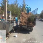 تداوم طرح‌های پاکسازی محلات توسط نیروهای خدمات شهری منطقه دو