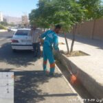 نظافت آیلند خیابان پاسداران و برنامه‌ریزی برای رفع نواقص آن