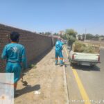 تداوم عملیات پاکسازی و خارزنی معابر منطقه دو با همت نیروهای خدمات شهری